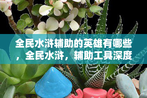 全民水浒辅助的英雄有哪些，全民水浒，辅助工具深度解析