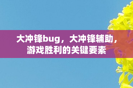 大冲锋bug，大冲锋辅助，游戏胜利的关键要素
