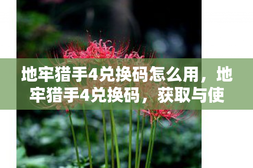 地牢猎手4兑换码怎么用，地牢猎手4兑换码，获取与使用指南