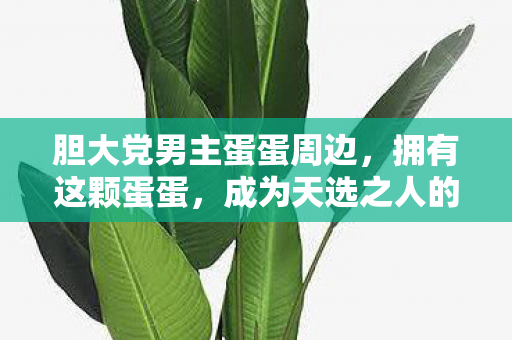 胆大党男主蛋蛋周边，拥有这颗蛋蛋，成为天选之人的独特标志