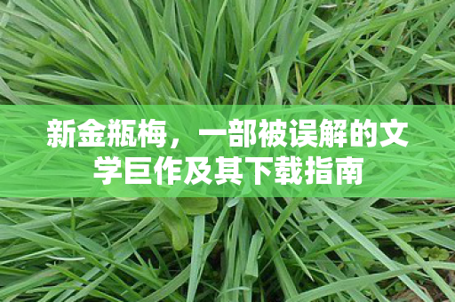 新金瓶梅，一部被误解的文学巨作及其下载指南