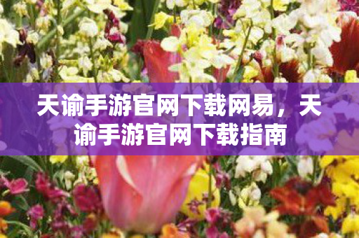 天谕手游官网下载网易，天谕手游官网下载指南