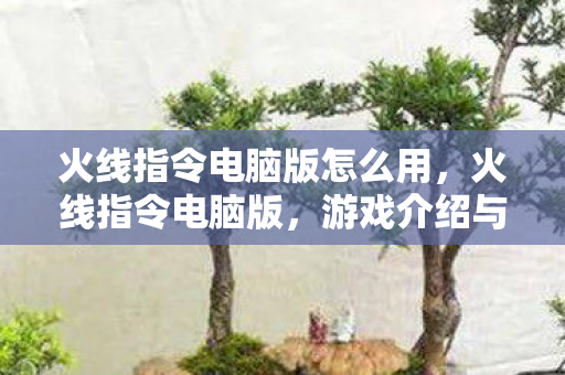 火线指令电脑版怎么用，火线指令电脑版，游戏介绍与体验分享