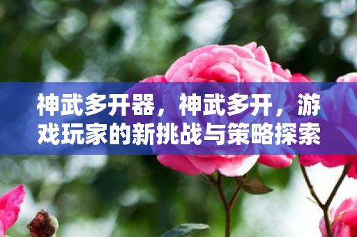 神武多开器，神武多开，游戏玩家的新挑战与策略探索