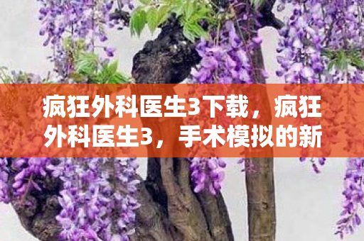 疯狂外科医生3下载，疯狂外科医生3，手术模拟的新篇章