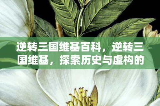 逆转三国维基百科，逆转三国维基，探索历史与虚构的交融