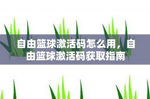 自由篮球激活码怎么用，自由篮球激活码获取指南