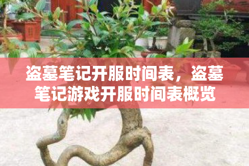 盗墓笔记开服时间表，盗墓笔记游戏开服时间表概览