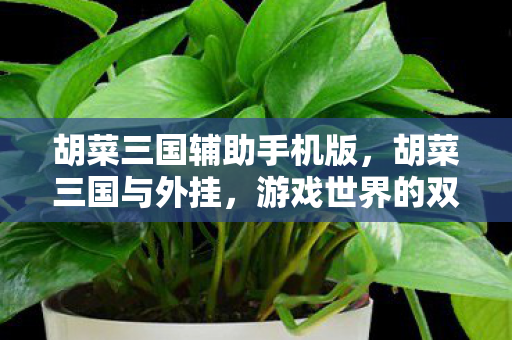 胡菜三国辅助手机版，胡菜三国与外挂，游戏世界的双刃剑