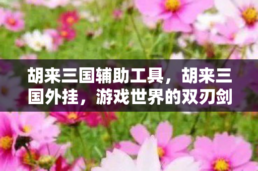 胡来三国辅助工具，胡来三国外挂，游戏世界的双刃剑