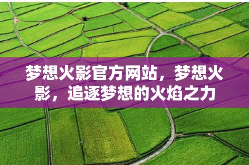 梦想火影官方网站，梦想火影，追逐梦想的火焰之力