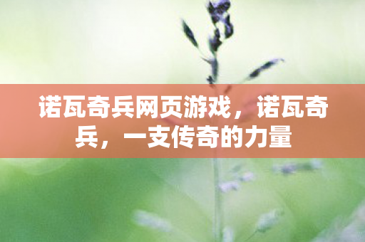 诺瓦奇兵网页游戏，诺瓦奇兵，一支传奇的力量