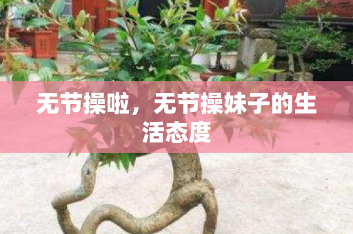 无节操啦，无节操妹子的生活态度