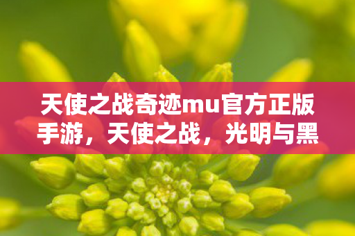天使之战奇迹mu官方正版手游，天使之战，光明与黑暗的较量