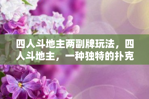 四人斗地主两副牌玩法，四人斗地主，一种独特的扑克游戏魅力