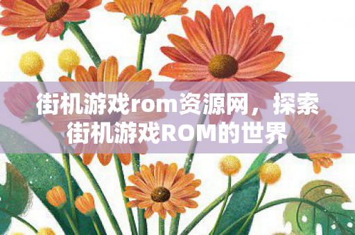 街机游戏rom资源网，探索街机游戏ROM的世界