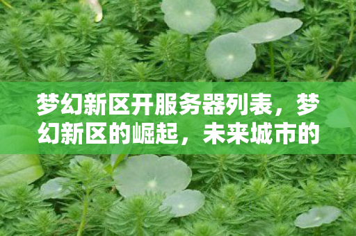 梦幻新区开服务器列表，梦幻新区的崛起，未来城市的璀璨明珠
