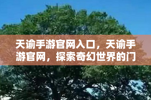 天谕手游官网入口，天谕手游官网，探索奇幻世界的门户
