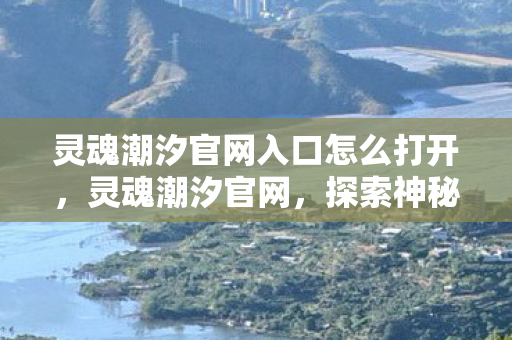 灵魂潮汐官网入口怎么打开，灵魂潮汐官网，探索神秘世界的门户