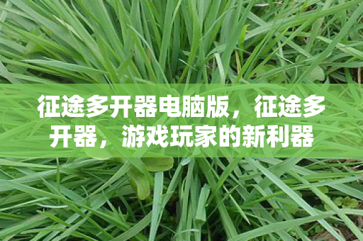 征途多开器电脑版，征途多开器，游戏玩家的新利器