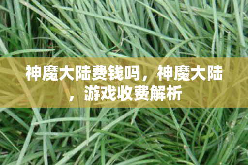神魔大陆费钱吗，神魔大陆，游戏收费解析