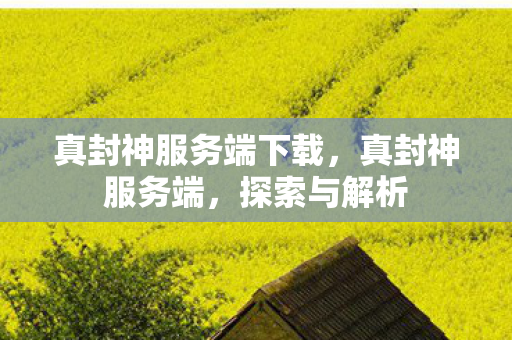 真封神服务端下载，真封神服务端，探索与解析