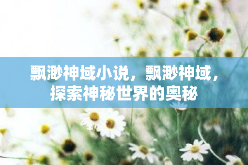 飘渺神域小说，飘渺神域，探索神秘世界的奥秘
