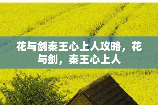 花与剑秦王心上人攻略，花与剑，秦王心上人