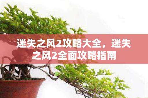 迷失之风2攻略大全，迷失之风2全面攻略指南