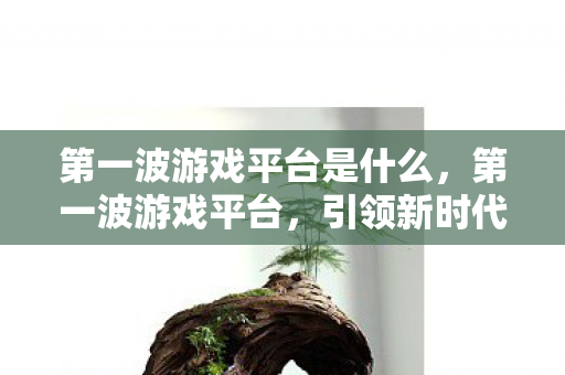 第一波游戏平台是什么，第一波游戏平台，引领新时代游戏产业的浪潮