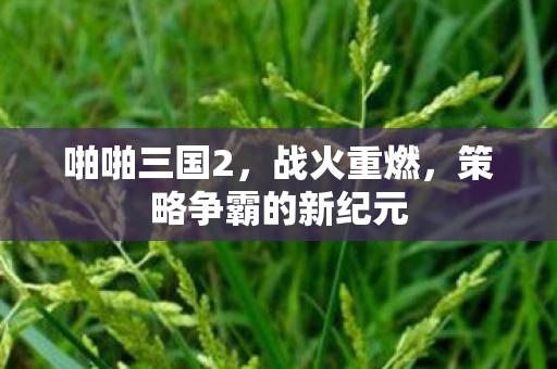 啪啪三国2，战火重燃，策略争霸的新纪元