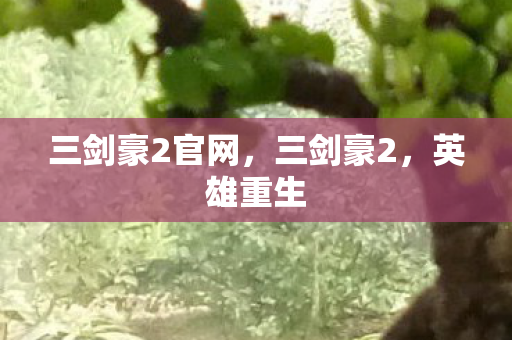 三剑豪2官网，三剑豪2，英雄重生
