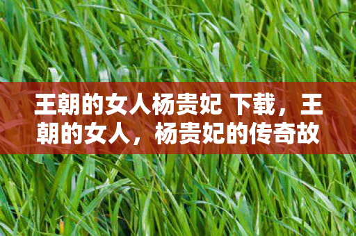 王朝的女人杨贵妃 下载，王朝的女人，杨贵妃的传奇故事—下载与解读