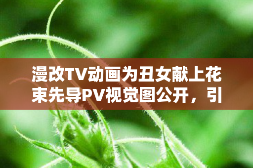 漫改TV动画为丑女献上花束先导PV视觉图公开，引起热烈关注