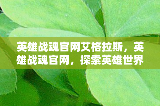 英雄战魂官网艾格拉斯，英雄战魂官网，探索英雄世界的门户