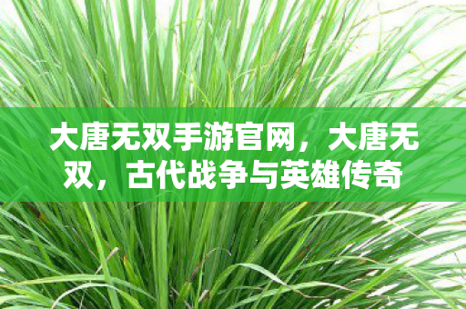 大唐无双手游官网，大唐无双，古代战争与英雄传奇