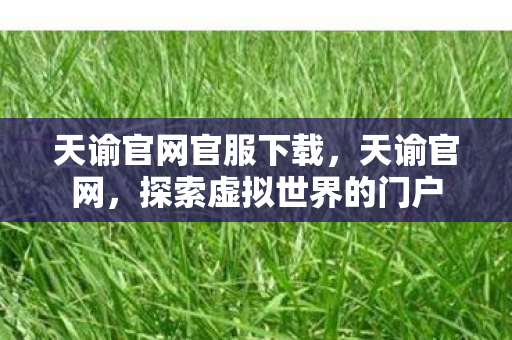 天谕官网官服下载，天谕官网，探索虚拟世界的门户