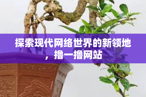 探索现代网络世界的新领地，撸一撸网站