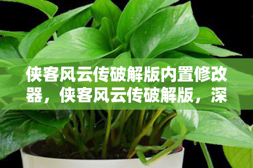 侠客风云传破解版内置修改器，侠客风云传破解版，深度解析与体验分享