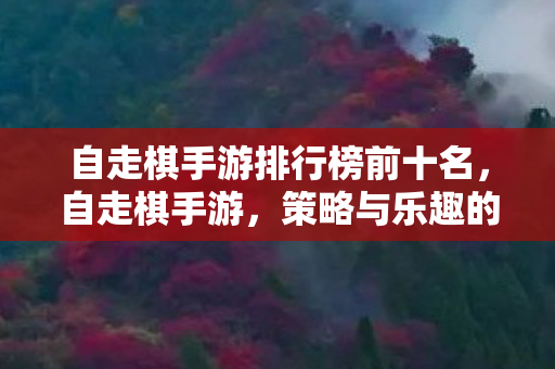 自走棋手游排行榜前十名，自走棋手游，策略与乐趣的完美结合