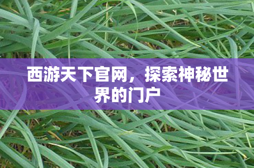 西游天下官网，探索神秘世界的门户