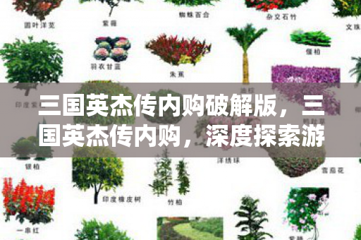 三国英杰传内购破解版，三国英杰传内购，深度探索游戏内购买系统