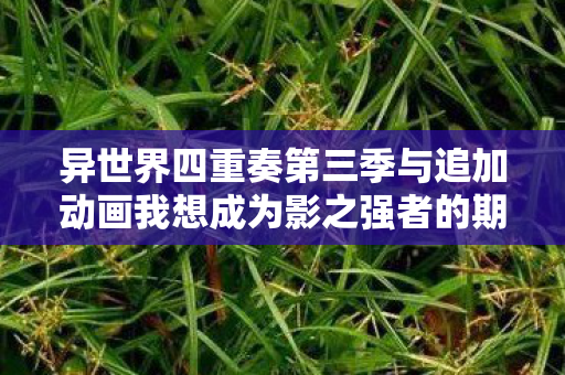 异世界四重奏第三季与追加动画我想成为影之强者的期待与热议