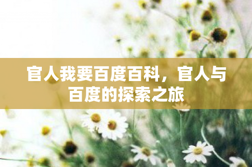 官人我要百度百科，官人与百度的探索之旅