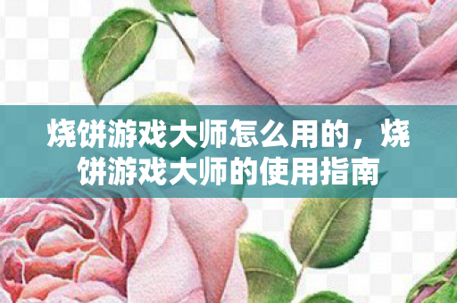 烧饼游戏大师怎么用的，烧饼游戏大师的使用指南