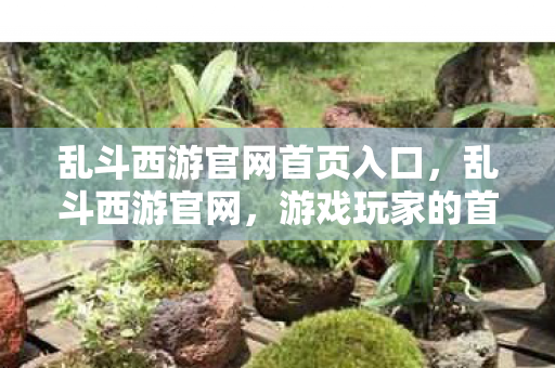 乱斗西游官网首页入口，乱斗西游官网，游戏玩家的首选之地