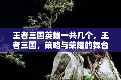 王者三国英雄一共几个，王者三国，策略与荣耀的舞台