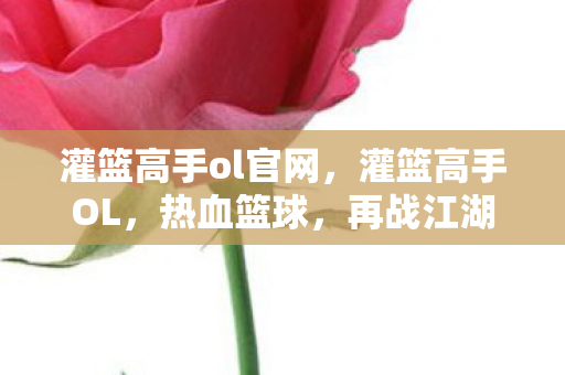 灌篮高手ol官网，灌篮高手OL，热血篮球，再战江湖！