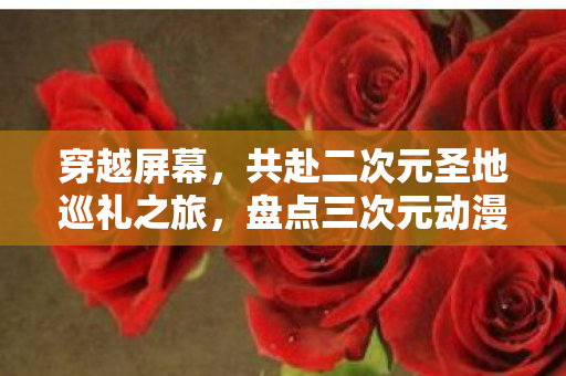 穿越屏幕，共赴二次元圣地巡礼之旅，盘点三次元动漫圣地推荐