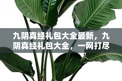 九阴真经礼包大全最新，九阴真经礼包大全，一网打尽所有福利